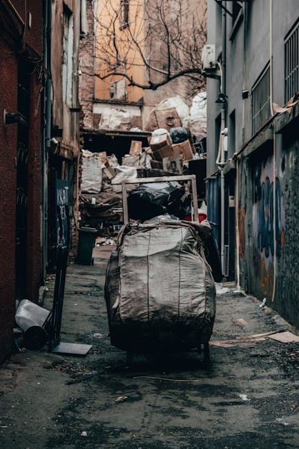 A narrow urban alleyway cluttered with large black and white trash bags, some partially torn, standing in the foreground on a dark, dirty ground with scattered debris and small puddles. To the left, a tall brick building with visible weathering and graffiti on a metal door is seen, while the right side features a grey building with barred windows and some graffiti art on the wall. In the background, a pile of mixed rubbish, including cardboard boxes, paper, and plastic waste, is stacked against an old wooden fence, partially obscured by leafless tree branches overhead. The scene is illuminated by natural daylight, highlighting the disorderliness typical of private waste collection in an urban environment, which might suggest a service like those offered by Rubbish Removal Holland Park for independent rubbish clearance or same-day disposal needs.